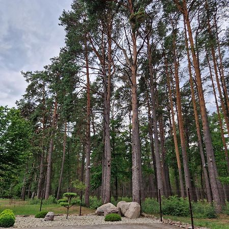 Apartamentai Renata Друскининкай Екстериор снимка