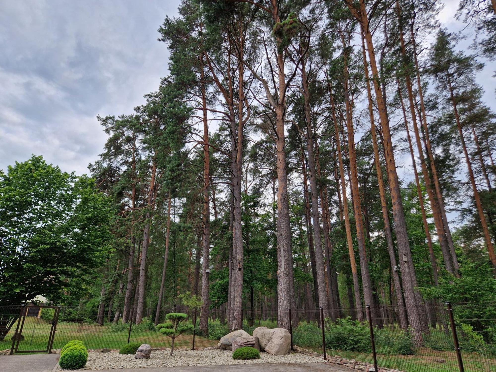 Apartamentai Renata Друскининкай Екстериор снимка